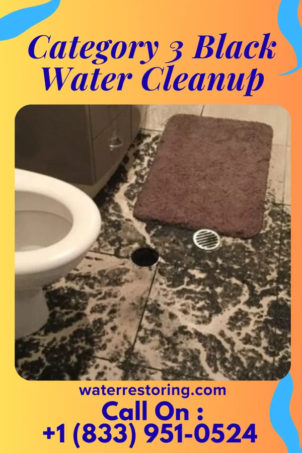 Category 3 Black Water Cleanup in Bad Axe, MI