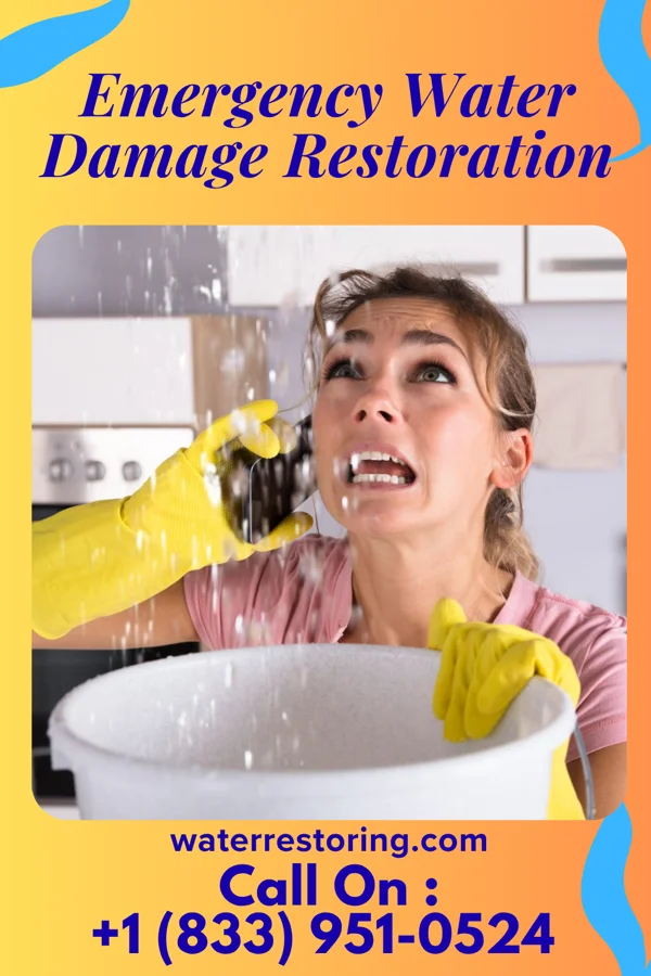 Emergency Water Damage Restoration in Bad Axe, MI