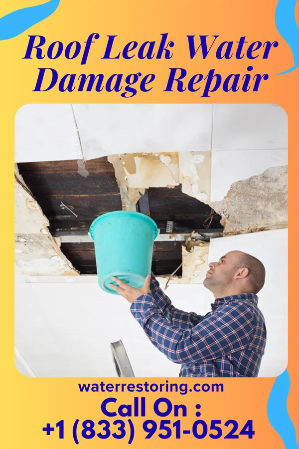 Roof Leak Water Damage Repair in Bad Axe, MI