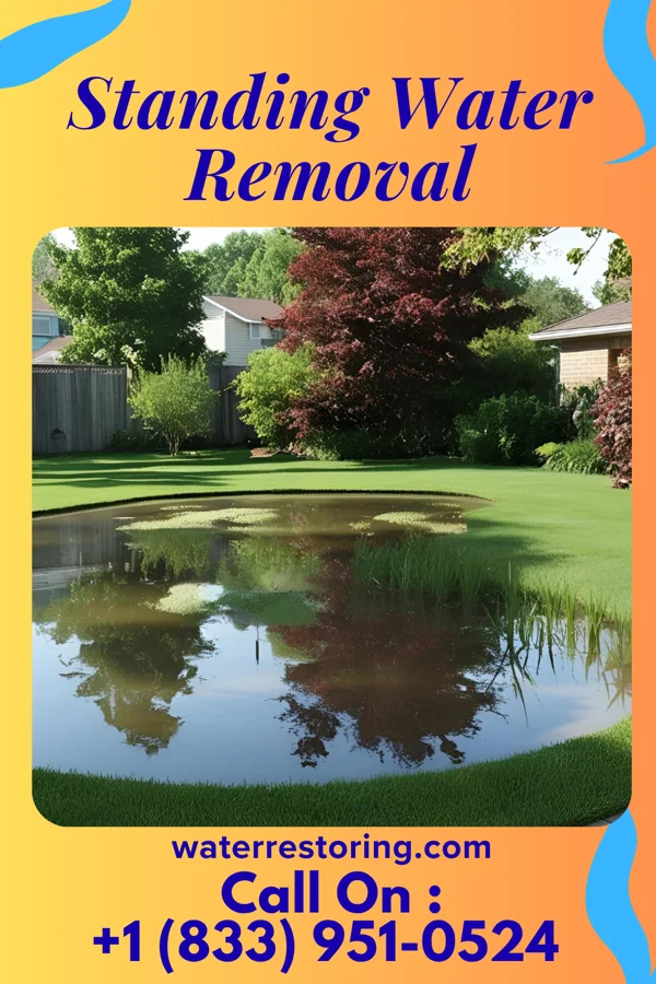 Standing Water Removal in Bad Axe, MI